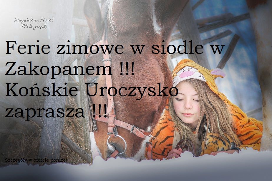 Ferie zimowe spędzone na grzbiecie koni z Tatrami w tle w Końskim Uroczysku.